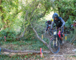 Chris-Wood-Trial-100