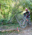 Chris-Wood-Trial-89